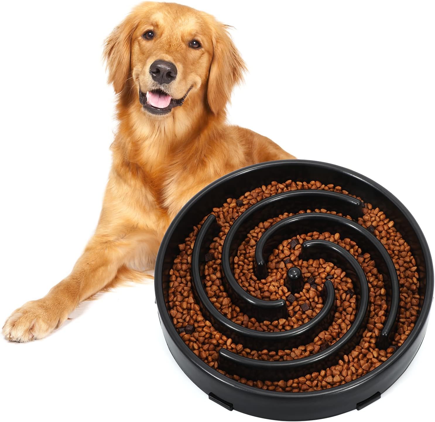 Feast at a Healthy Pace: Top Slow Feeder Dog Bowls for Delighted and Well-Nourished Pooches