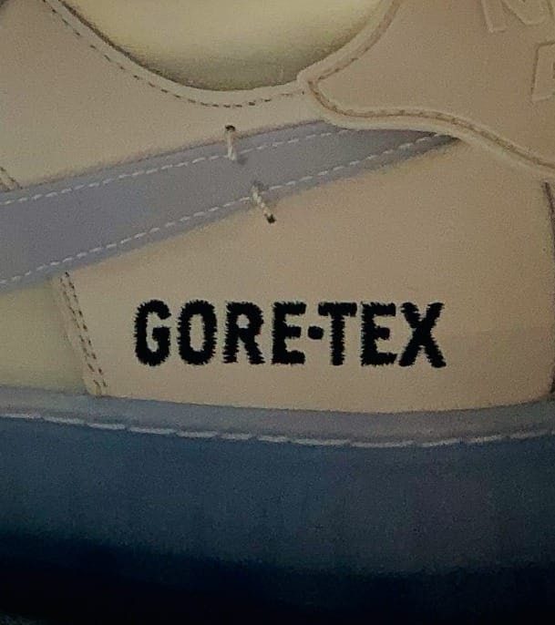 pair of Gore-Tex sneakers - what shoes to wear for disc golf
