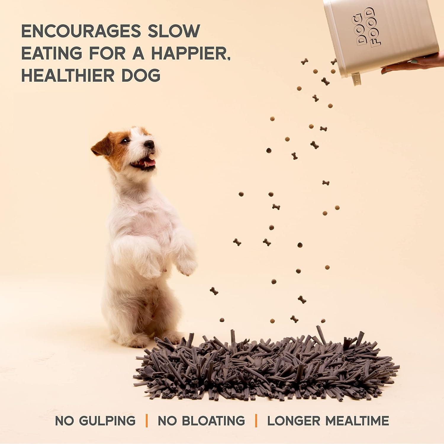 Feast at a Healthy Pace: Top Slow Feeder Dog Bowls for Delighted and Well-Nourished Pooches