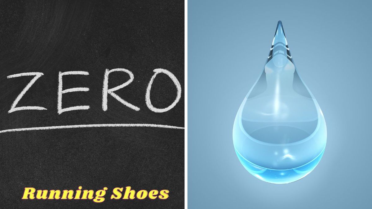 7 Best Zero Drop Running Shoes | Zero Drop Running Shoes