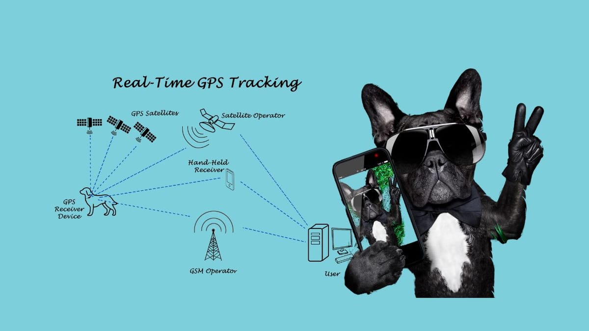 Unleashing the Potential of GPS Dog Fence Systems: A Comprehensive Guide