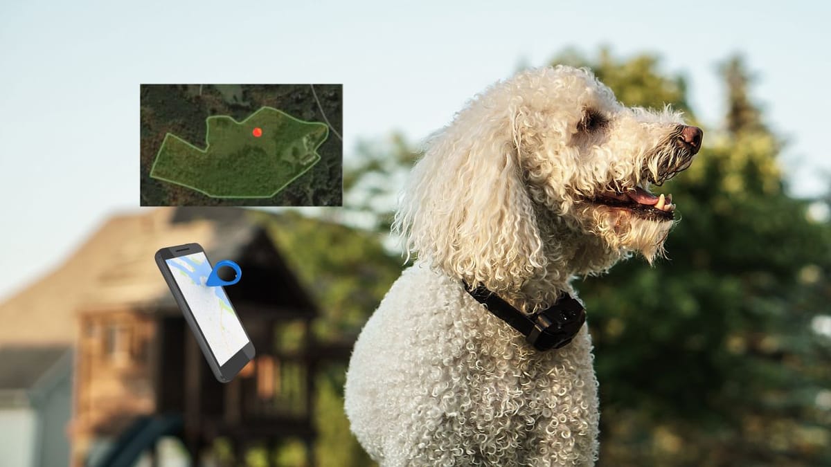 Unleashing the Potential of GPS Dog Fence Systems: A Comprehensive Guide