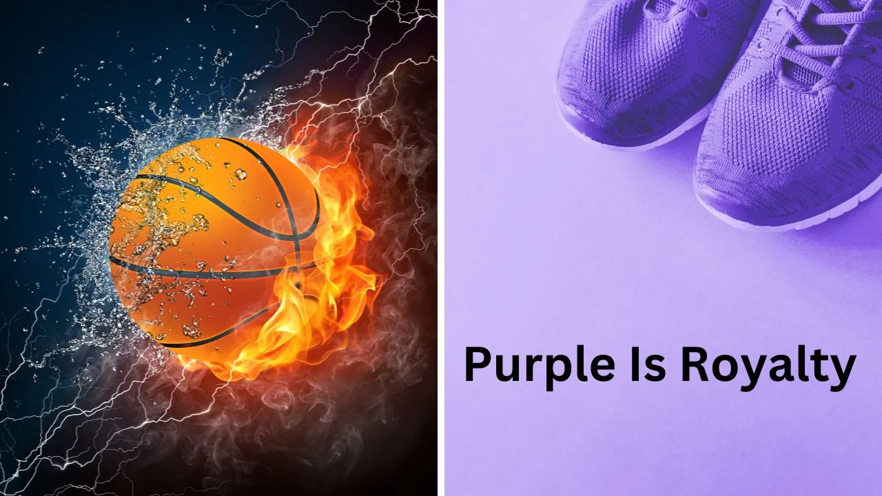 purple basketball shoes