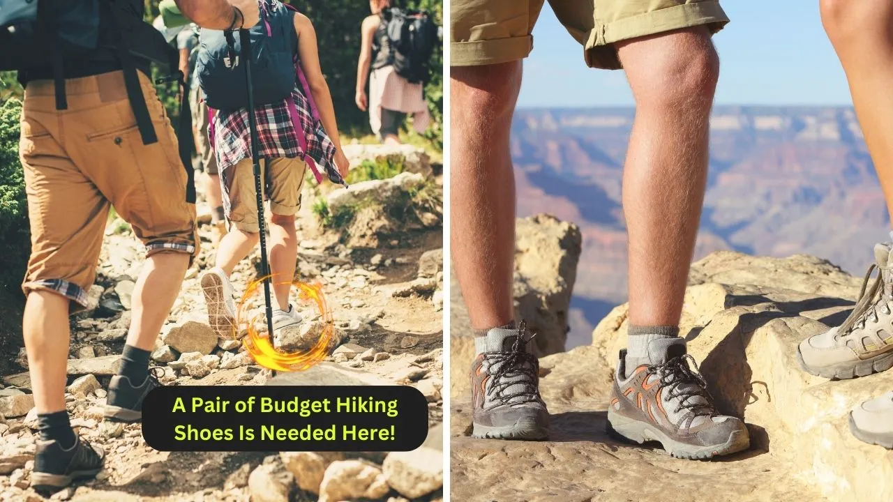 Best Budget Hiking Shoes