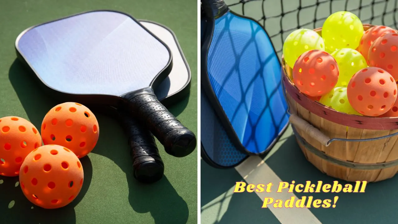 best pickleball paddles for beginn