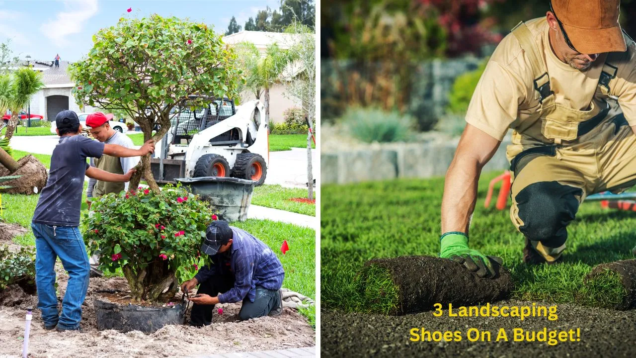 best shoes for landscapers