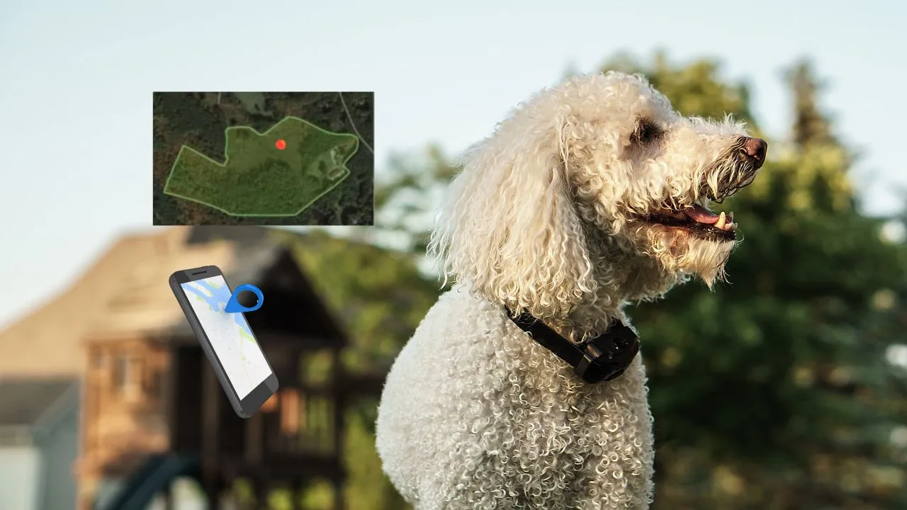 Unleashing the Potential of GPS Dog Fence Systems: A Modern Solution