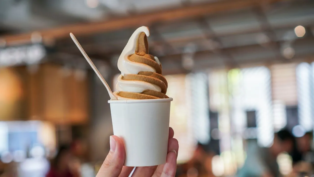 What is the Best Soft Serve Ice Cream Machine for Home Use?